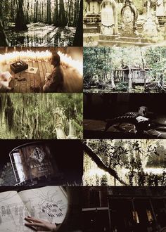 a collage of different scenes from the movie into the woods and in the water