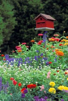 a bird house in the middle of a flower garden