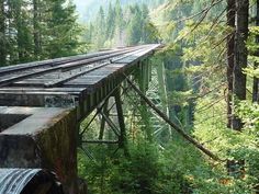 an old train bridge in the middle of some trees