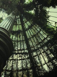 the inside of a glass and metal structure with plants growing on it's sides