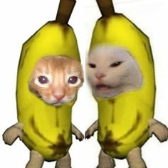 an image of two bananas with cats in them