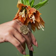 Celebrate the courageous tiger with this hand-carved Sovereign ring. This lightweight, gold-toned ring is an exotic statement piece for all animal lovers and fashion pros alike. Luxurious ring carved using the traditional lost wax technique. Each design is hand carved by us using wax in our modest Margate studio, before sending the mould off on its adventure to the warm, welcoming team in Jaipur. Our talented artisans in India then bring our design to life. WHO MADE YOUR JEWELLERY? The Jaipur wo Sovereign Ring, Indian Tiger, Tiger Jewelry, Fantasy Animals, Continuous Improvement, Pink City, Ethical Jewelry, Recycled Silver, Lost Wax