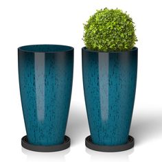 two blue vases with green plants in them