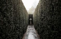 a stone walkway between two hedges with a statue in the center