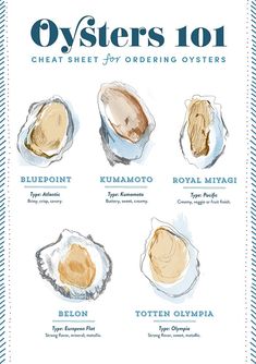 an image of oysters on the cover of a cook's guide to different types of oysters