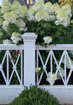 white flowers are growing on the top of a fence