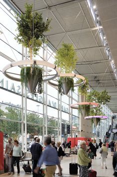 people are walking through an airport terminal with plants hanging from the ceiling and luggage bags in front of them