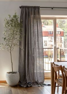 a potted plant sitting next to a window in a room with wooden flooring