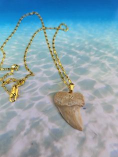 Hand picked prehistoric Mako Shark tooth found in Bakersfield CA made onto an 18k 18 inch gold plated necklace! Tooth size is 1 1/4 inches long! Gold Arrowhead Necklace As A Gift, Gold Arrowhead Necklace Gift, Gold Arrowhead Necklace For Gift, Gold Arrowhead Jewelry Gift, Gold Arrowhead Jewelry For Gift, Gold Untreated Jewelry As A Gift, Mako Shark, 18k Gold Necklace, Shark Tooth