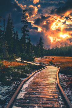 a wooden walkway leading to a forest with clouds in the sky and water on either side