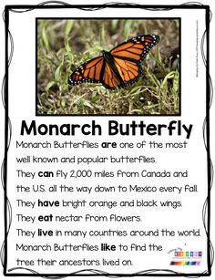 a monarch butterfly with the words monarch butterflies are one of the most well known