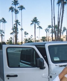 two white jeeps parked next to each other in front of palm trees