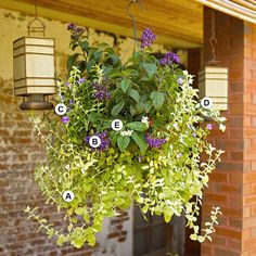 a hanging planter filled with purple flowers and green leaves next to a brick building