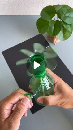 a person holding a green bottle with a propeller on it and a plant in the background