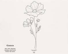 a line drawing of two flowers on a white background with the words cosmos