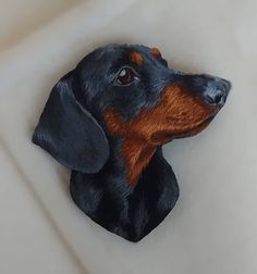 a black and brown dachshund sitting on top of a white surface