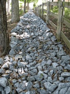 a path made out of rocks between two trees