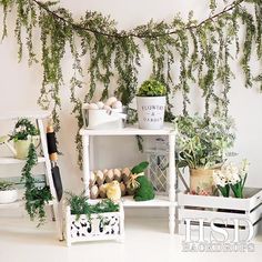 a room filled with lots of different types of plants and potted plants on pedestals