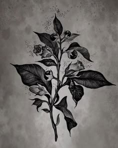 Dark Nature Tattoo Ideas, Night Shade Tattoo, Poison Flowers Tattoo, Night Shade Flower Tattoo, Dark Delicate Tattoo, Nightshade Tattoo Design, Wilted Flowers Tattoo, Deadly Night Shade Flower Tattoo