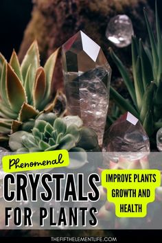 Crystals For Plants Crystals For House Plants, Crystals And Plants Aesthetic, Crystals For Plants, Plants And Crystals, Green Witchery, Crystal Growing, Garden Board, Crystal Making, Attract Positive Energy