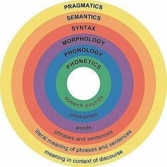 the four types of phonology are shown in different colors and sizes, including red, yellow, blue, green, and orange