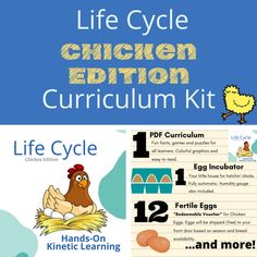 the life cycle chicken education kit is shown with instructions for learning how to use it