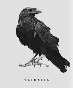 a drawing of a black bird sitting on top of a white background with the words valhalla written below it