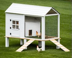 two chickens in a chicken coop on the grass