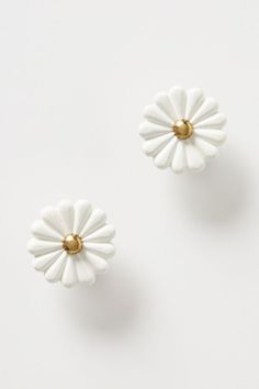 two white flowers with gold centers are shown on a white surface and one is in the middle