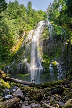 two people standing at the base of a waterfall with mossy rocks and trees surrounding it