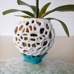 a white vase with a green plant in it