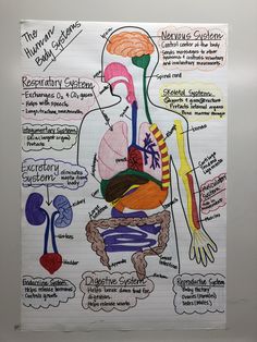 a diagram of the human body on a piece of paper with words written below it