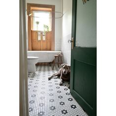 a dog laying on the floor in a bathroom