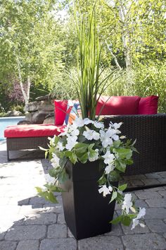 a planter with white flowers in it sitting on a patio