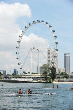 several people are rowing in the water near a large ferris wheel