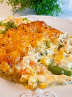 a piece of casserole with cheese and vegetables on a white plate next to a green plant