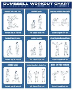 the dumbbell workout chart is shown with instructions for each type of bodybuilding exercise