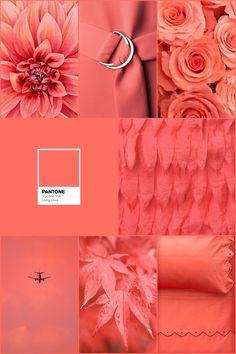 pink and orange color scheme with flowers, leaves, and an airplane in the sky