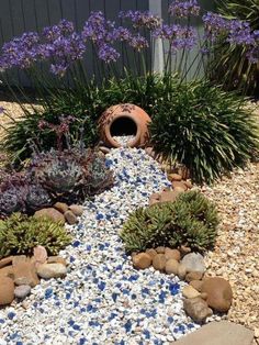 a garden with rocks, gravel and plants in the middle is shown on a sunny day