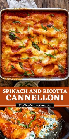 spinach and ricotta cannelloni in a casserole dish on a wooden table