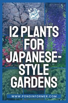 the words 12 plants for japanese style gardens