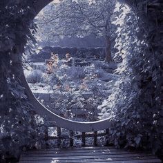 a circular wooden bench sitting in the middle of a garden surrounded by trees and bushes