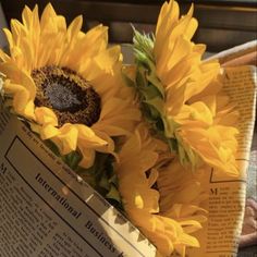 two sunflowers sitting on top of an open newspaper