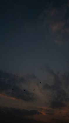 some birds are flying in the sky at sunset or dawn, with dark clouds behind them