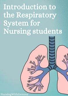 This 8-page PDF contains the following topics: - Gross anatomy of the Respiratory tract - Air-flow through the respiratory system - The alveoli and surfactant - The respiratory epithelium - Pleural cavities and the pleural membrane - The mechanics of breathing - Measuring lung function - Obstructive vs. restrictive conditions - Interpreting Spirometry results The Respiratory System, Nursing Courses, Respiratory System, Anatomy And Physiology, Respiratory, Nursing Students, Study Notes, Office School