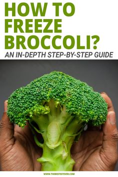 broccoli with the title how to freeze broccoli? an in - depth step - by - step guide