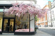 a store front with pink flowers on the tree