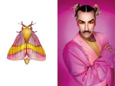 a man in pink and yellow is next to an image of a moth on a purple background