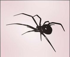 a black spider silhouetted against a light pink background