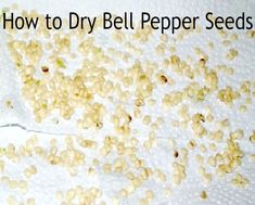 how to dry bell pepper seeds in the microwave or on the stove top for cooking